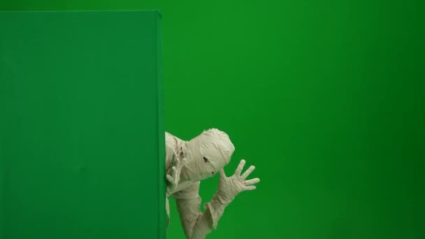 Green Screen Isolated Chroma Key Video Capturing Mummy Showing Green — Stock Video