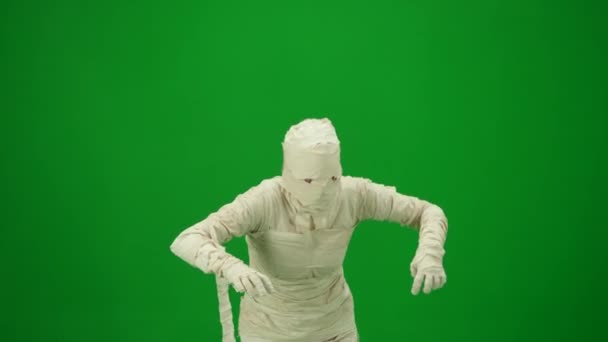Green Screen Isolated Chroma Key Video Capturing Mummy Staggering Walking — Stock Video