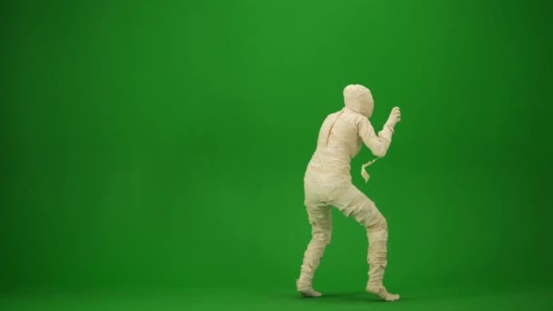 Sargılara Sarılmış Bir Mumya Kollarını Kaldırıp Zıplayarak Dans Ediyor Yeşil — Stok video
