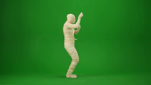 Tela Verde Vídeo Chave Chroma Isolado Capturando Uma Múmia Dançando — Vídeo de Stock