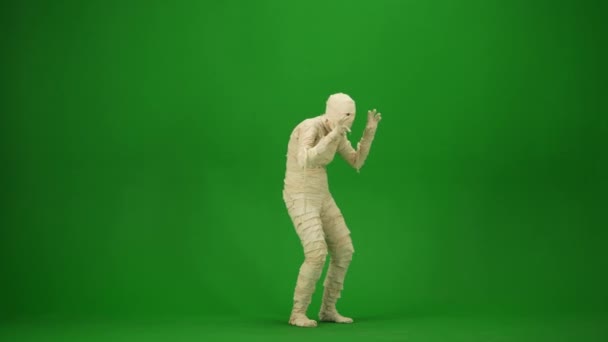 Scary Mummy Looks Searches Victim Scares Raised Arms Green Screen — Stock Video