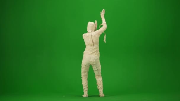 Pantalla Verde Aislado Croma Clave Vídeo Capturar Una Momia Bailando — Vídeo de stock