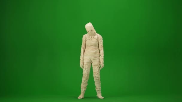 Schermo Verde Isolato Chroma Key Video Cattura Una Mummia Barcollante — Video Stock
