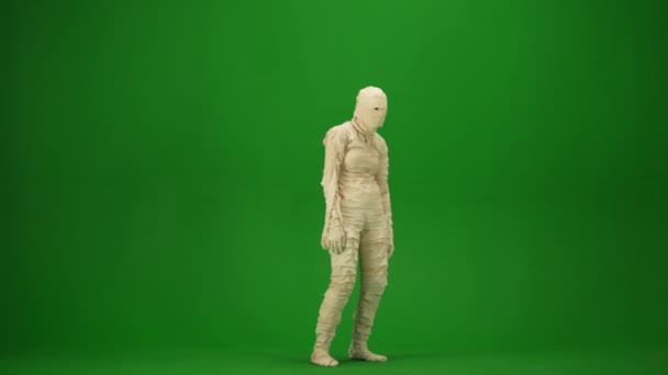 Green Screen Isolated Chroma Key Half Turn Video Capturing Mummy — Stock Video