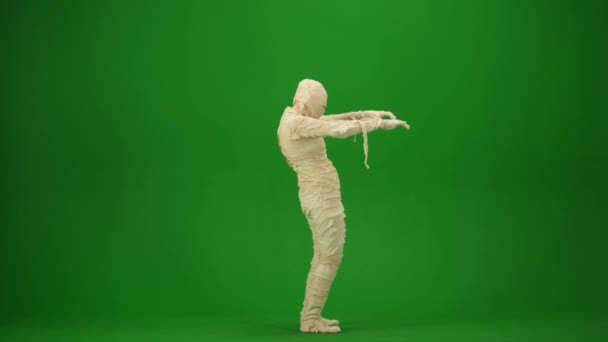 Green Screen Isolierte Chroma Taste Seitenansicht Video Das Eine Mumie — Stockvideo