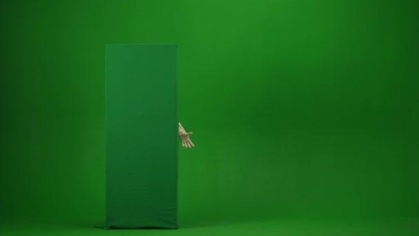 Green Screen Isolated Chroma Key Video Capturing Mummy Peeking Green — Stock Video