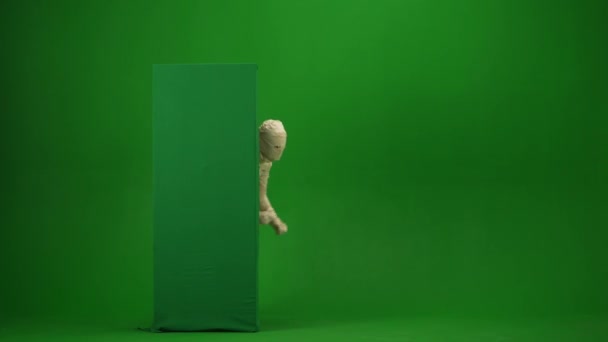 Zielony Ekran Odizolowany Chroma Key Wideo Rejestrujące Mumię Skaczącą Zza — Wideo stockowe
