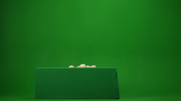 Schermo Verde Isolato Video Chiave Del Croma Catturando Una Mummia — Video Stock