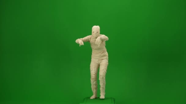 Green Screen Isolated Chroma Key Video Capturing Mummy Staggering Walking — Stock Video