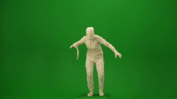 Green Screen Isolierte Chroma Key Video Das Eine Taumelnde Mumie — Stockvideo