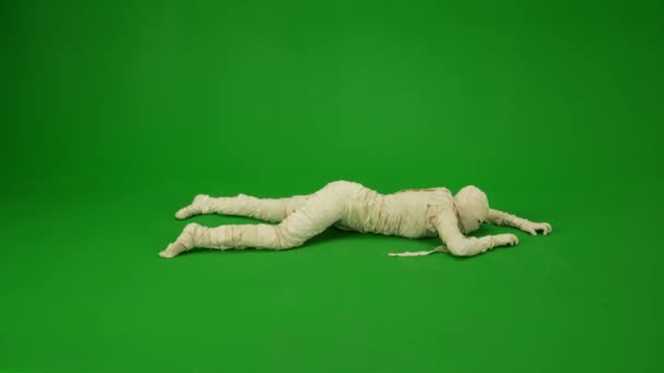 Schermo Verde Isolato Chroma Key Video Cattura Una Mummia Strisciando — Video Stock