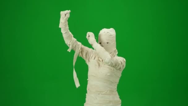 Green Screen Isolierte Chroma Key Video Das Eine Mumie Beim — Stockvideo