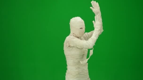 Tela Verde Vídeo Chave Chroma Isolado Capturando Uma Múmia Dançando — Vídeo de Stock