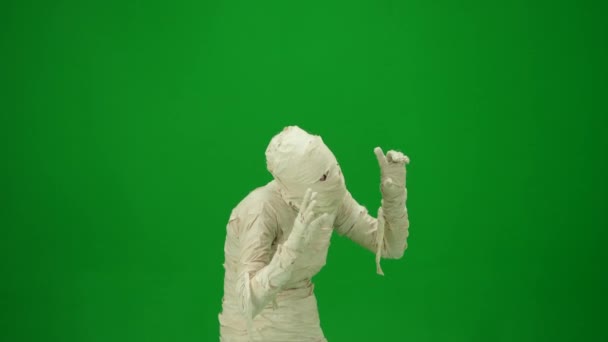 Scary Mummy Looks Searches Victim Scares Raised Arms Green Screen — Stock Video