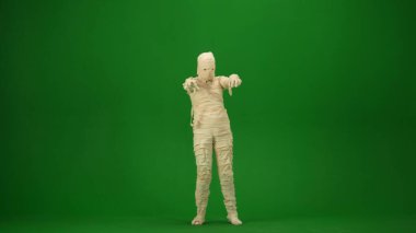 Yeşil ekran, kollarını uzatan bir mumyayı yakalıyor ve sanki onu korkutmaya çalışıyor gibi. Tam boy. Model yapın, tanıtım videonuz ya da reklamınız için çalışma alanı.