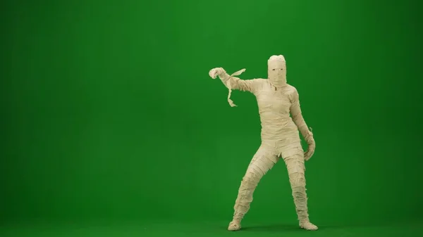 Mummy Wrapped Bandages Posing Looking Camera Green Screen Isolated Chroma — Stock Photo, Image