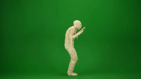 Mummy Wrapped Bandages Poses Scary Pose Green Screen Isolated Chroma — Stock Photo, Image
