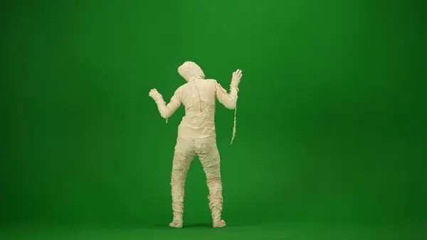 Een Mummie Gewikkeld Verband Poseert Een Enge Pose Achteraanzicht Groene — Stockfoto