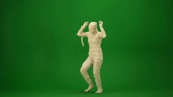 Mummy Wrapped Bandages Poses Dances His Arms Raised Green Screen — Stock Photo, Image