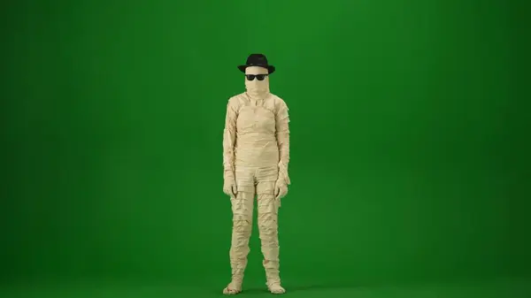 Mummy Black Hat Sunglasses Poses Looking Camera Green Screen Isolated — Stock Photo, Image