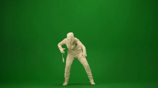 Green Screen Isolated Chroma Key Photo Capturing Mummy Staggering Walking — Stock Photo, Image
