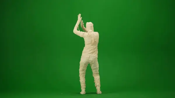 Mummy Wrapped Bandages Dances His Arms Raised Green Screen Isolated — Stock Photo, Image