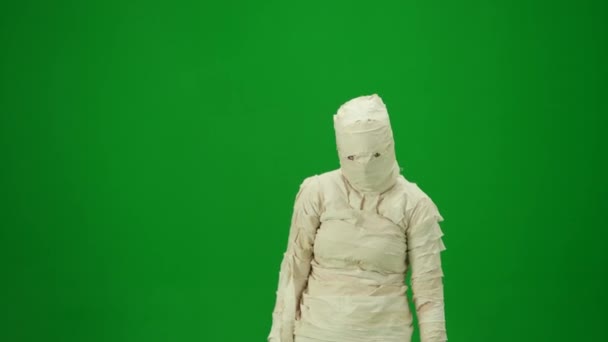 Pantalla Verde Aislado Croma Clave Vídeo Capturar Una Momia Tambaleándose — Vídeos de Stock