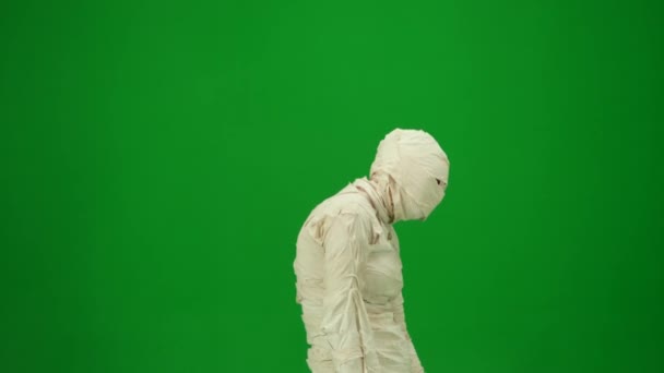 Green Screen Isolated Chroma Key Side View Video Capturing Mummy — Stock Video