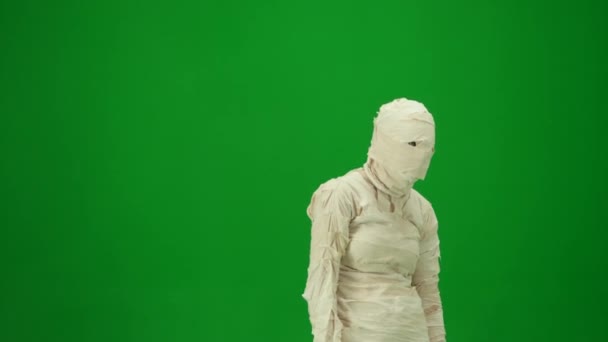 Green Screen Isolated Chroma Key Half Turn Video Capturing Mummy — Stock Video