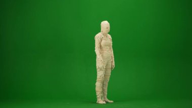 Sargı bezine sarılmış bir mumya. Yeşil ekran izole edilmiş kroma anahtarı. Model, çalışma alanı, reklam. Tam boy. Yarım dönüş. Cadılar Bayramı.