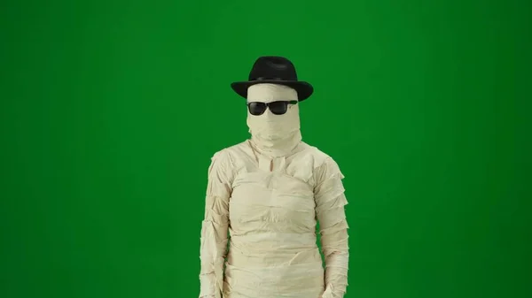 Mummy Black Hat Sunglasses Poses Looking Camera Green Screen Isolated — Stock Photo, Image