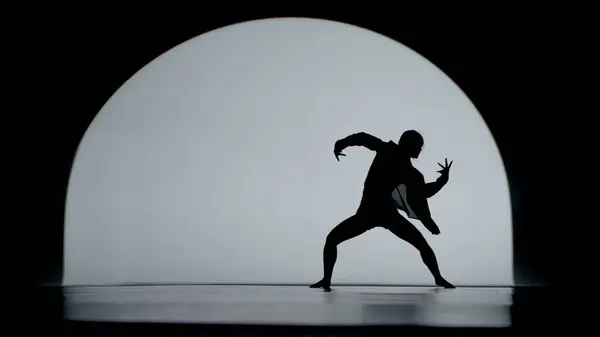 Silhouette Contrastée Une Jeune Femme Exécutant Une Danse Contemporaine Émotionnelle — Photo
