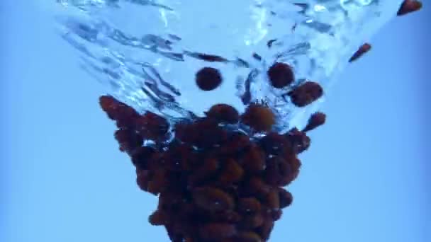 Концепция Креативной Рекламы Водного Водоворота Крупный План Аквавихря Макро Студия — стоковое видео