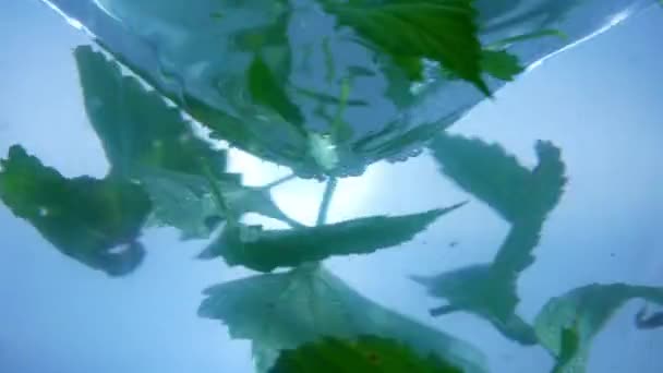 Water Whirlpool Creatieve Reclame Concept Een Close Van Aqua Vortex — Stockvideo