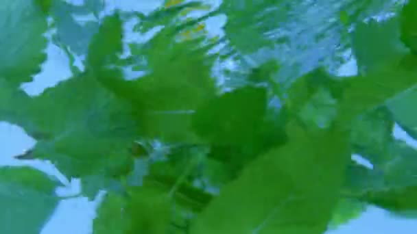 Hidromasaje Agua Concepto Publicidad Creativa Primer Plano Aqua Vortex Macro — Vídeo de stock