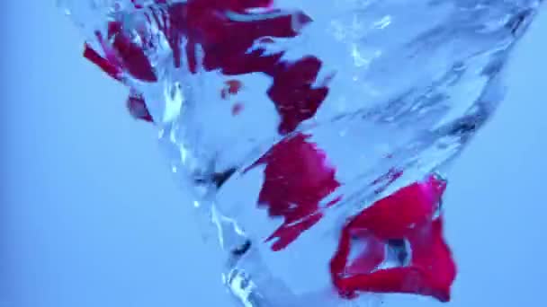 Концепция Креативной Рекламы Водного Водоворота Крупный План Аквавихря Макро Студия — стоковое видео