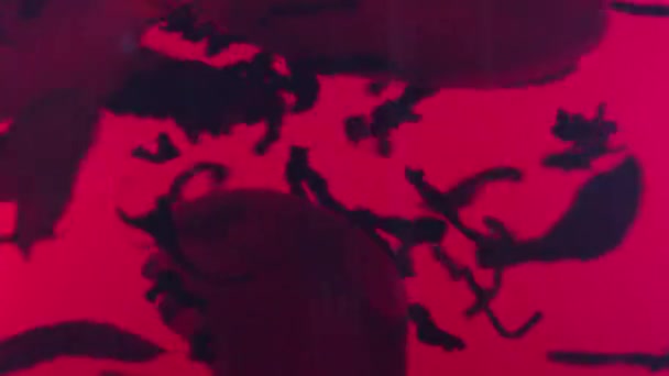 水漩涡创意广告的概念 近距离拍摄的水草涡旋 宏观工作室拍摄的玻璃壶与充满活力的红水拧涡旋 酿制干茶叶与柠檬片和薄荷 — 图库视频影像