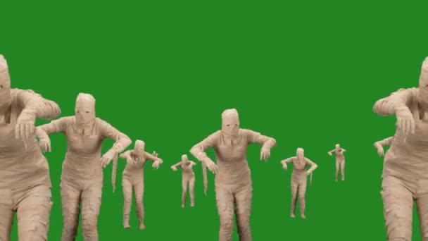 Green Screen Isolierte Chroma Schlüsselvideo Das Viele Mumien Zeigt Die — Stockvideo