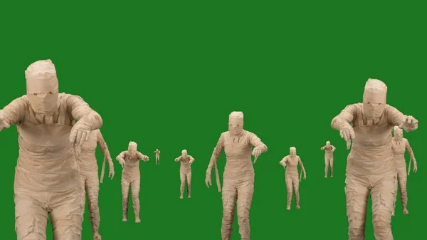 Green Screen Isolated Chroma Key Video Capturing Lots Mummies Walking — Stock Photo, Image