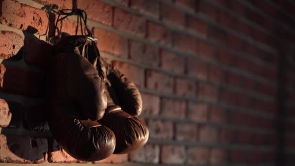 Výstřel Ukazuje Zblízka Cihlovou Zeď Hřebíkem Kterém Visí Boxerské Hnědé — Stock video