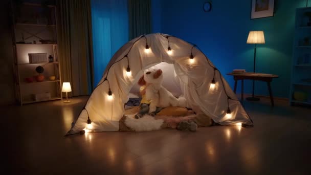 Little Boy Having Fun Home Tent Decorated Garlands Boy Playing — Stock Video
