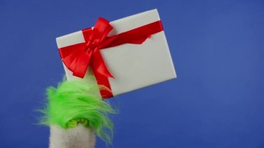 Grinchs 'in yeşil saçlı eli, izole edilmiş mavi arka planda kırmızı fiyonklu beyaz bir hediye kutusu tutuyor. Hediye kaçıran kostüm. Noel ve Yeni Yıl kutlaması konsepti. Mavi ekran, krom anahtar.