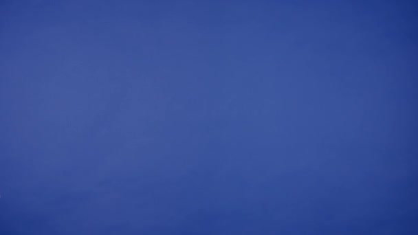 金银花绿头发的手拍打着电影拍子 拍打着孤立的蓝色背景 给绑匪陪衬 圣诞和新年庆祝的概念 蓝色屏幕 — 图库视频影像