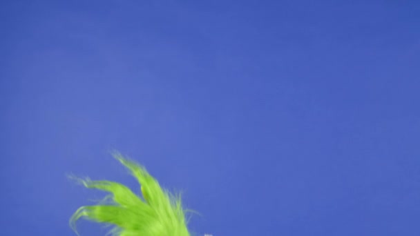 Зеленая Волосатая Рука Гринча Показывает Жест Изолированном Синем Фоне Косплей — стоковое видео