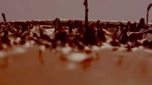 Zpomalené Video Vln Čokolády Cákání Rozptýlení Malých Kapkách — Stock video
