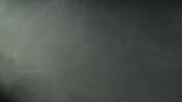 黒い背景のスタジオでスポットライトで照らされた灰色の煙のデンセクラブ テクスチャー効果 — ストック動画