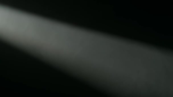 スポットライトビームは 暗闇の中で煙の灰色の雲 霧を照らします ブラックバックで煙を吸う 煙の有効な質 — ストック動画