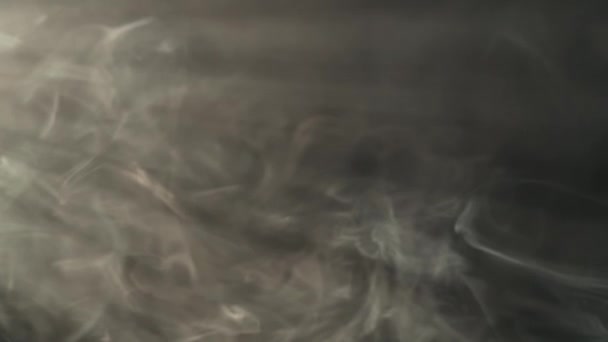 Šedý Kouř Světle Reflektorů Černém Pozadí Efektivní Textura Páry Mlhy — Stock video