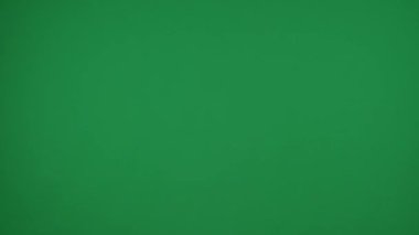 Yeşil bir arkaplanda, topal bir anahtar, bir kadının eli gür, güzel, sarı bir çiçeği tutuyor. O, onu yukarı kaldırdı ve onun güzelliğini göstermek için kameraya onu gösterdi. Orta çerçeve.