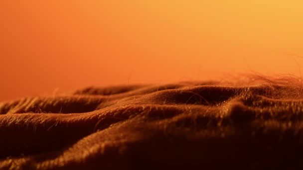 ヤシの皮の詳しいデッサン 人間のクローズアップ薬の皮 健康な裸の表面 オレンジライト — ストック動画